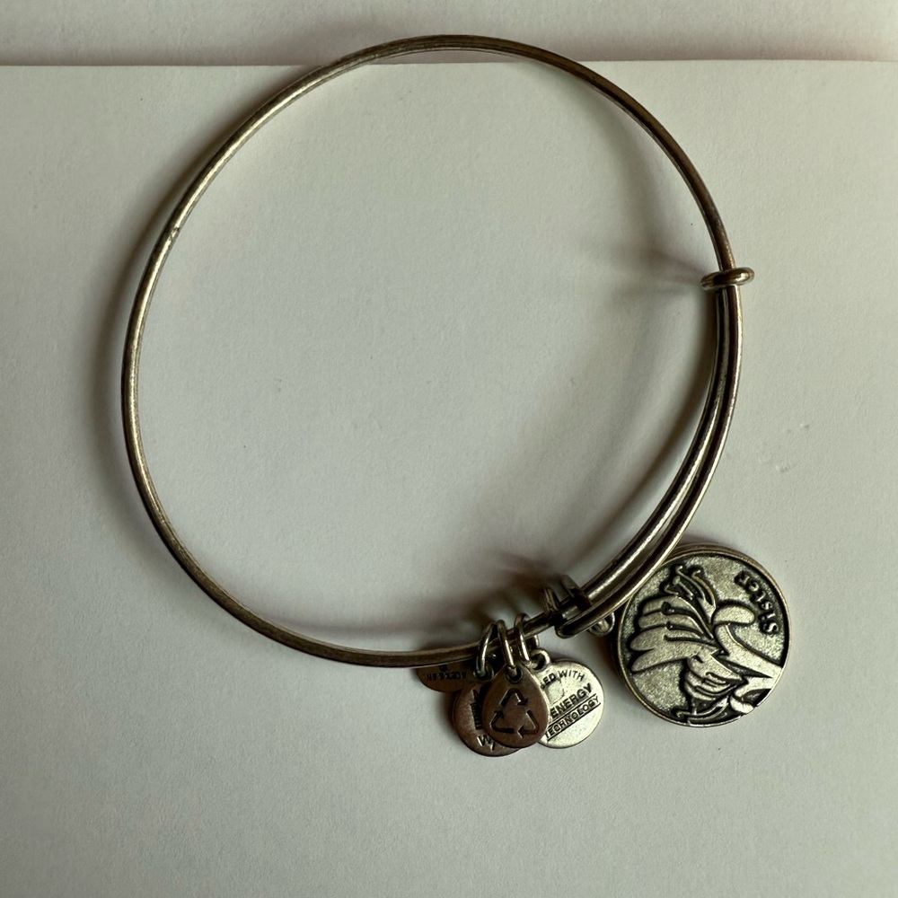 Alex and Ani Sister Silver Charm Bracelet